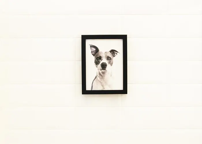 Habitat - Design Нафплион